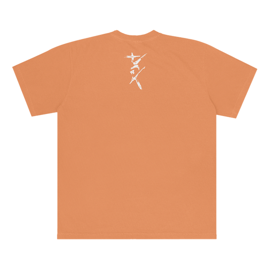 I Can't Imagine Orange T-Shirt