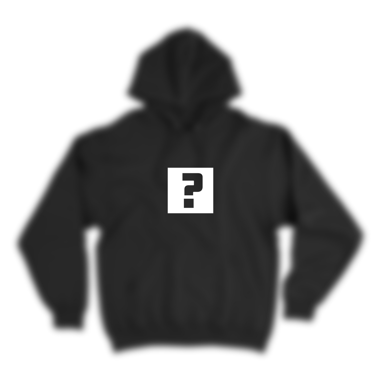 Mystery Hoodie/Sweater