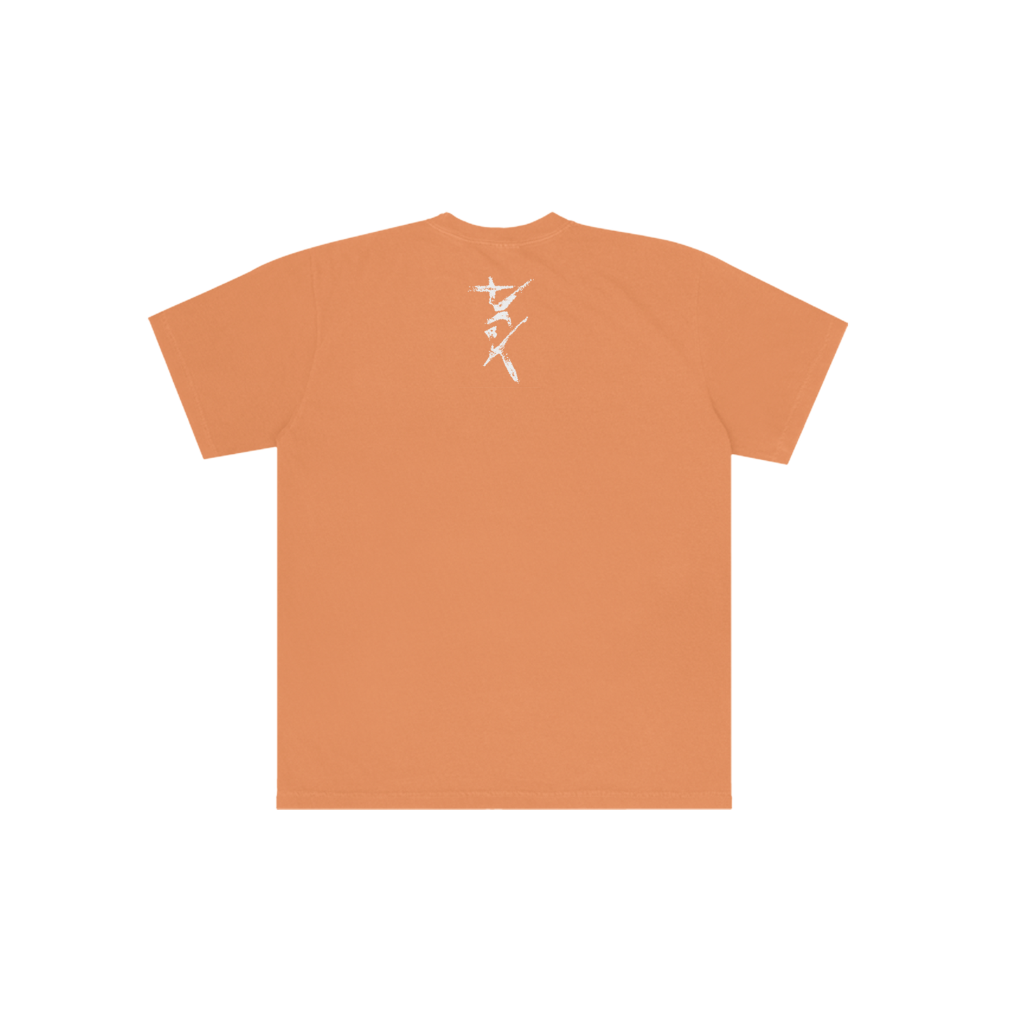 I Can't Imagine Orange T-Shirt