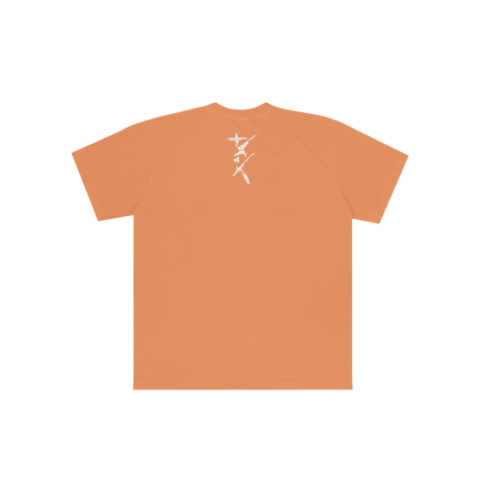 I Can't Imagine Orange T-Shirt