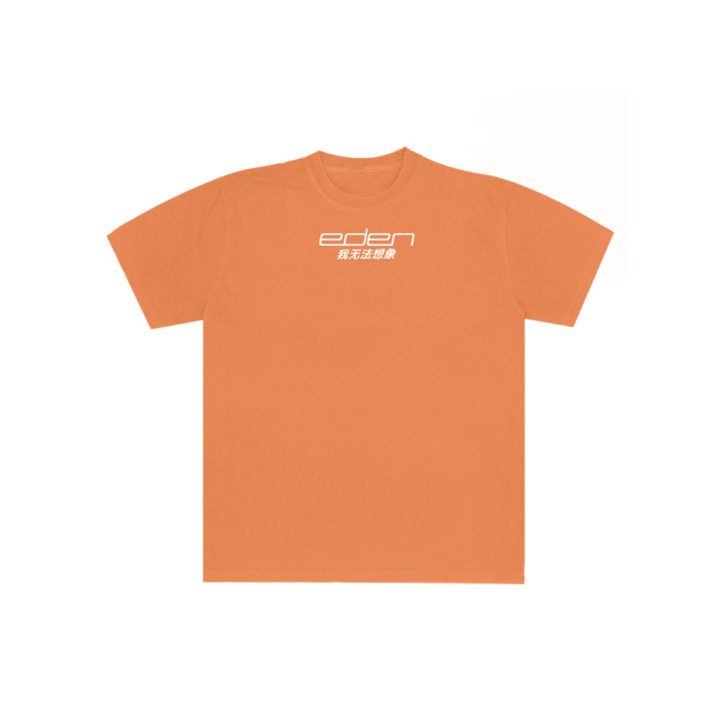 I Can't Imagine Orange T-Shirt