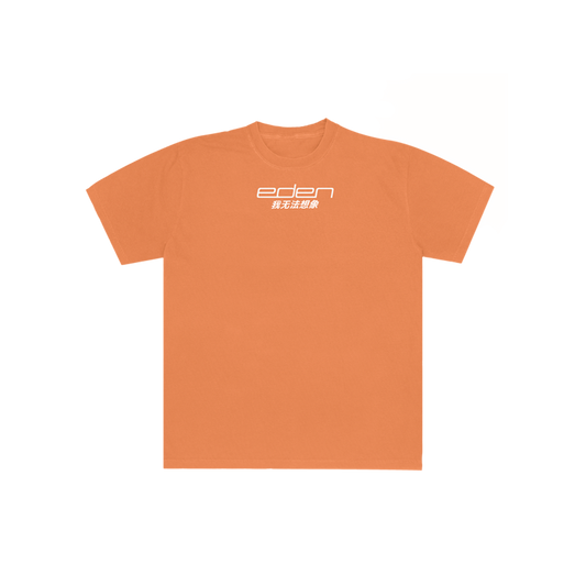 I Can't Imagine Orange T-Shirt