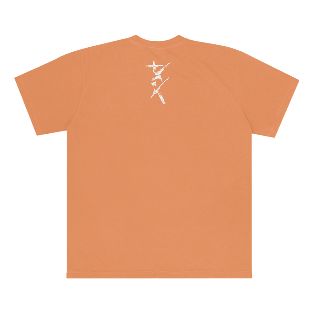 I Can't Imagine Orange T-Shirt