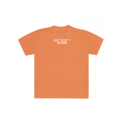 I Can't Imagine Orange T-Shirt