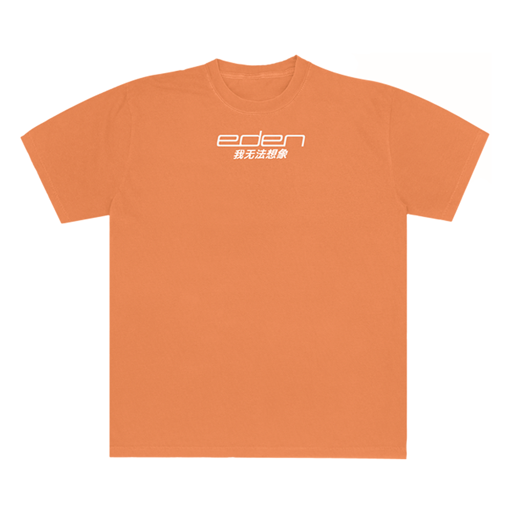 I Can't Imagine Orange T-Shirt