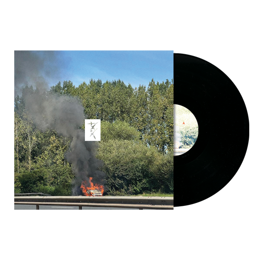 Dark Standard Black LP