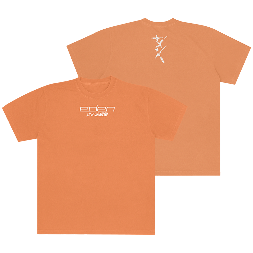 I Can't Imagine Orange T-Shirt